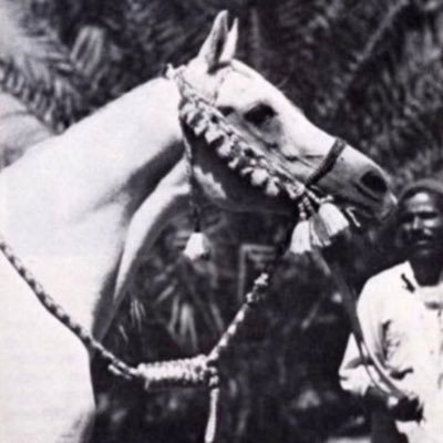 اللهم اني استودعتك حياتي فأنرها لي | https://t.co/PVl2KjgJj0