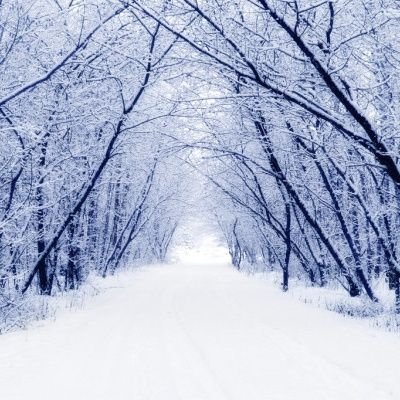 imnotpanicing's profile picture. 