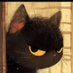 hw (@looksquirrel00) Twitter profile photo hw (@looksquirrel00) Twitter profile photo