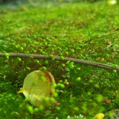 Thee_pie_rate's profile picture. Choices have consequences.
