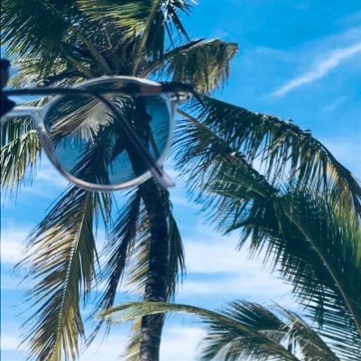 bookmoth254's profile picture. That wasn’t very data-driven of you🌚/BI/data scientist