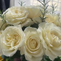 FlowerMama (@avatica1) 's Twitter Profile