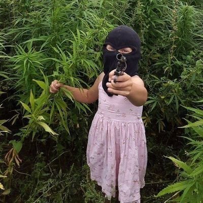 rehemamk's profile picture. a decent human