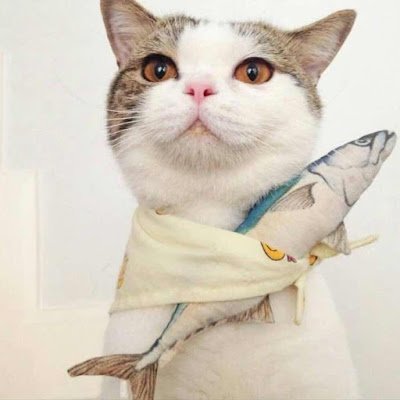 testweb1216's profile picture. 