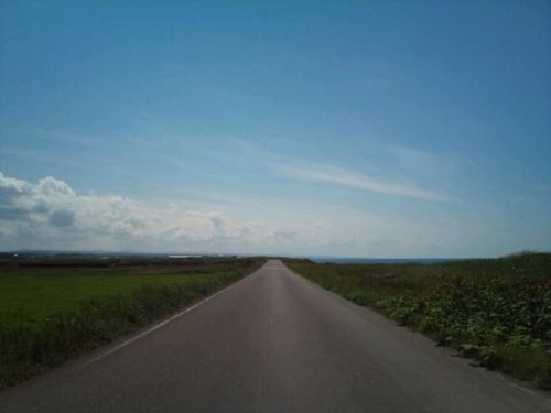 oishi_359's profile picture. I work in cloud integrater. Product marketing for cloud and IT.携帯電話会社に勤めてるけどスマホだけでなくcloudとかITなんでもテクオタです。最近はアメリカンIPAのビールにハマり中