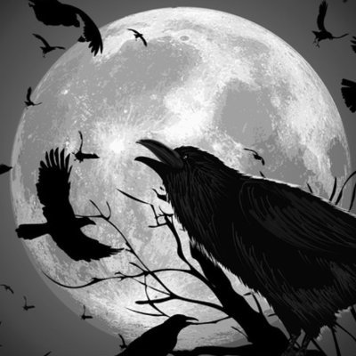 Ethernity10's profile picture. 