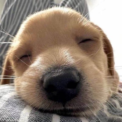 Bitbat3630721's profile picture. 🤍