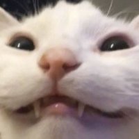 w0r0w (@_w0r0w_) 's Twitter Profile