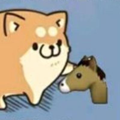 gallopingthrouh's profile picture. talk more smile less