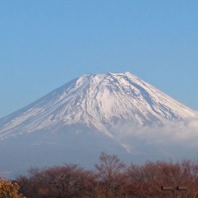 TbEZ4UpioxXEvty's profile picture. 