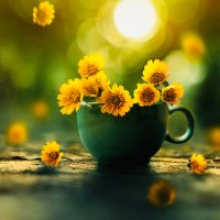Rosa ๐น๐๐๏ธ๐ (@8581rosa) 's Twitter Profile