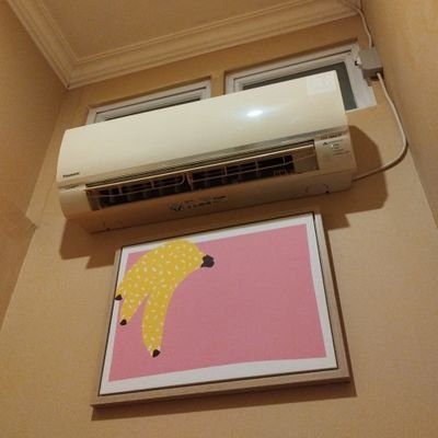 otherjo_'s profile picture. such a pretty house, such a pretty garden