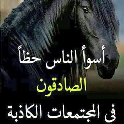 مهندس صناعي تركيب وتشغيل مكائن نفخ بجميع أنواعهاوحقن بجميع انواعها ومكاين تغليف بجميع انواعها واستشارات التواصل
