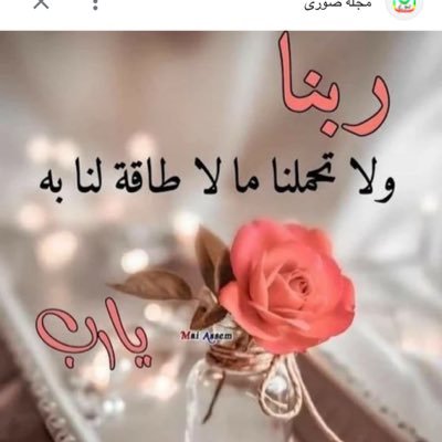 bntbwh198019's profile picture. ثم انت تنام والله لاينام عن تدبير امرك