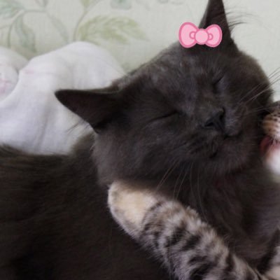 ammohratinho's profile picture. a qualquer momento.