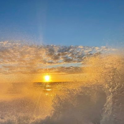 b_bocho's profile picture. 