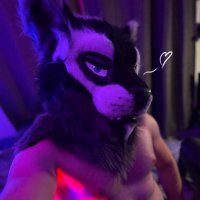Tredder 🔞➡️Wolfodong on 🦋 (@wolfodong) 's Twitter Profile Photo Tredder 🔞➡️Wolfodong on 🦋 (@wolfodong) 's Twitter Profile Photo