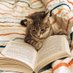 Kat (@freakylilreader) Twitter profile photo Kat (@freakylilreader) Twitter profile photo