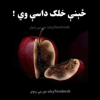 SidiqiAbdu38168's profile picture. تور تهمت په عاشقی کښ لوی همت ده.                     
تور داغونه د مهتاب په مخ کښ هم شته