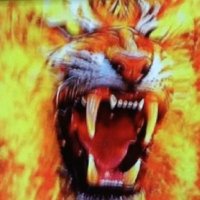 Ron Sylvia (@ronsylvia420) Twitter profile photo