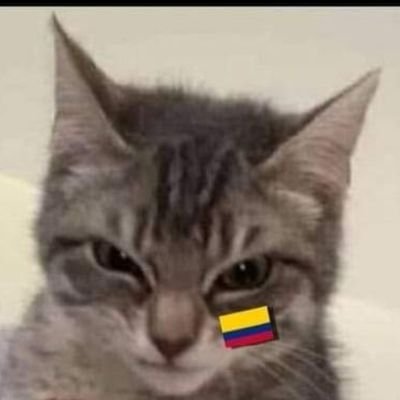 cotrina_camilo1's profile picture. 🌱