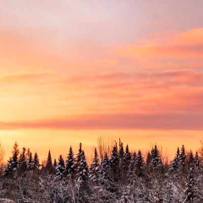 edNiphotography's profile picture. ⋅ ⋅ ⋘⋛|| △↟༄≋Ψ ||⋚⋙ ⋅ ⋅