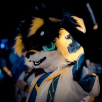 伊恩哟 (@ian_2468) 's Twitter Profile Photo 伊恩哟 (@ian_2468) 's Twitter Profile Photo