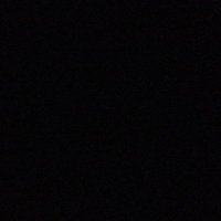 Kingston Ray (@kingston__ray) 's Twitter Profile