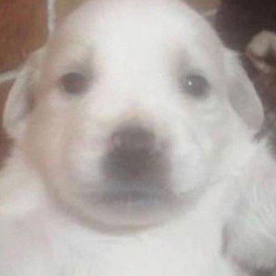 고사리さんのプロフィール画像