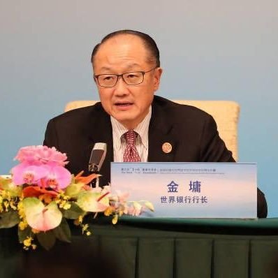Jim Yong Kim, Global Infrastructure Partners (GIP), a private equity fund that invests in project in wealthy and developing countrie.