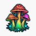 Bungalow Farm Mushrooms (@bungalowshrooms) Twitter profile photo Bungalow Farm Mushrooms (@bungalowshrooms) Twitter profile photo