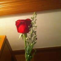 manal (@manal_edu) 's Twitter Profile