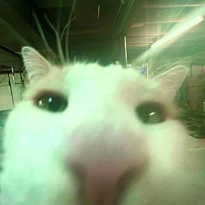 notmilah1's profile picture. 