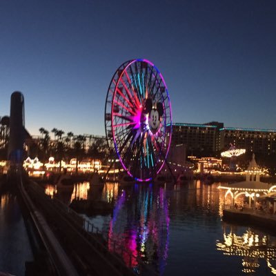 MainStreetUSA__'s profile picture. just learning, I’m not the best to follow. pretty boring. help if possible please https://t.co/5mp9V0Wdfn