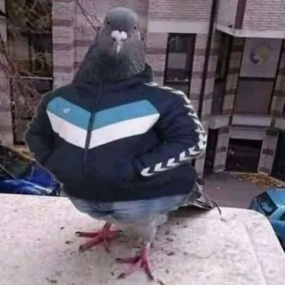 Pikakkz's profile picture. I follow back 🥺