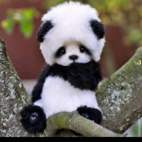 Bamboo CTO (@bamboocto) 's Twitter Profile