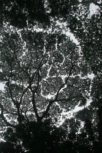 Hartd00's profile picture. 