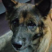 bum_wara (@bum_warawan) 's Twitter Profile