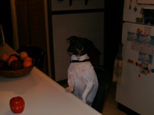 dmm1966's profile picture. Trump still sucks, and I'll never forget the way republicans betrayed us. 😉🌈🌊🇺🇸 #Resistance #BDS #EqualityForAll