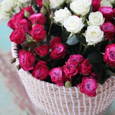 so64181's profile picture. 