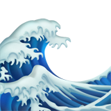 sealeworld's profile picture. daily geography puzzle game