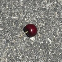 구지혜 (@jihae_koo) 's Twitter Profile Photo