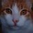 Isaa__000's profile image