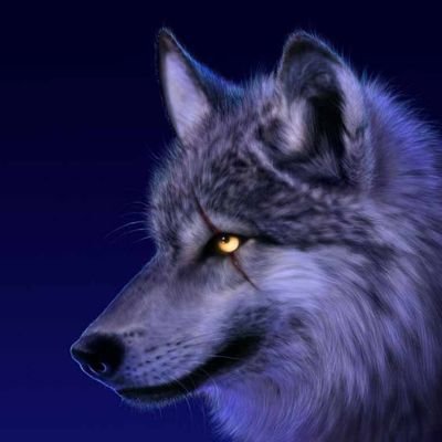 JosueAle2601's profile picture. 18M || Systems Engineering Student & language nerd :3 || 🇨🇴 Native • 🇺🇸 C1 • 🇧🇷 B2 • 🇫🇷 B1 • 🇯🇵 JLPT N4 • 🇩🇪 A2 • 🇨🇳 HSK1 || #langtwt