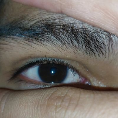 jonnathan_52701's profile picture. 