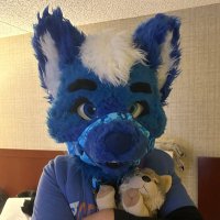 Buddy the Shepsky (@buddytheshpsky) 's Twitter Profile Photo