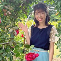 小野寺紀帆(ATV青森テレビアナウンサー) (@okiho216) 's Twitter Profile