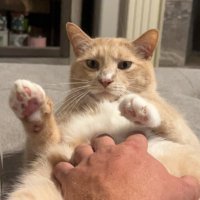 catnapper.eth (@catnapper_eth) 's Twitter Profile Photo catnapper.eth (@catnapper_eth) 's Twitter Profile Photo