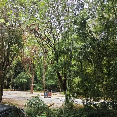 Pleasefoll46766's profile picture. 本人双，农，不10/找高中，大学生，找牛/优质可付💰，坐标西安北郊