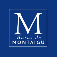 Haras de Montaigu (@harasmontaigu) 's Twitter Profile